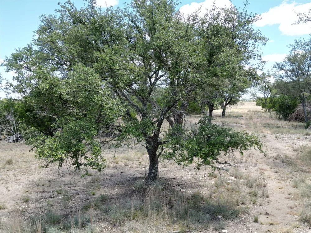 183 TBD  HWY 183 Highway Lampasas, TX 76550