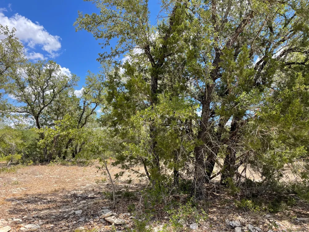 183 TBD  HWY 183 Highway Lampasas, TX 76550
