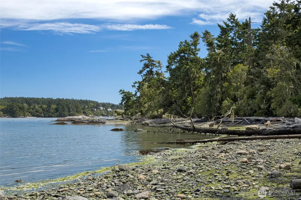 16 Bayshore Road Friday Harbor, WA 98250