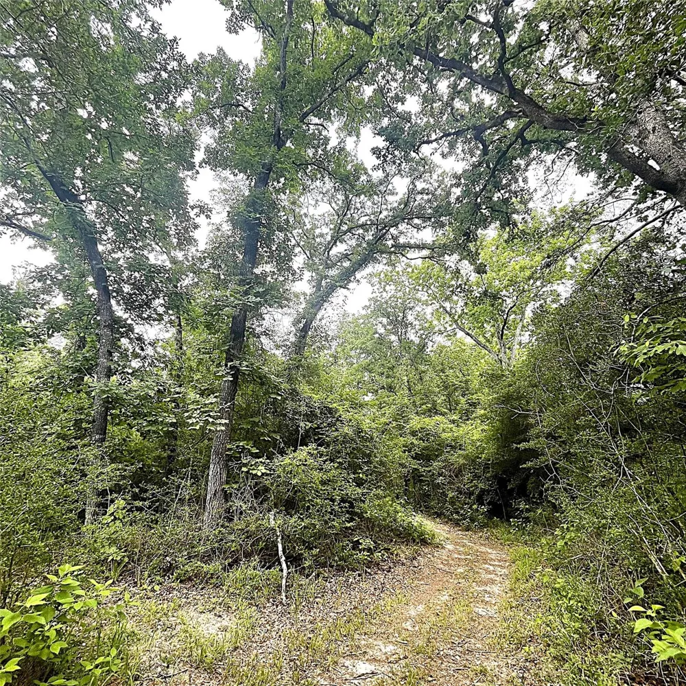5002 Fm 811 Centerville, TX 75833