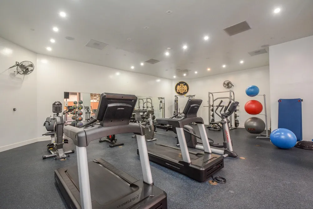 3350 Mccue Road #1302 Houston, TX 77056