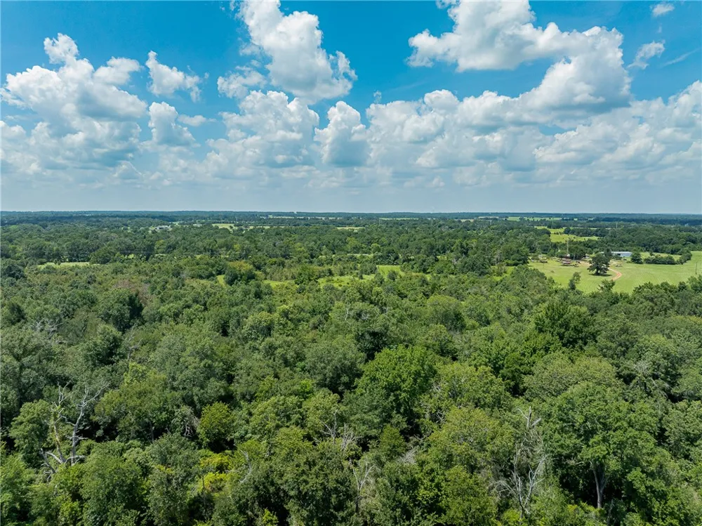 E US Hwy 79 Franklin, TX 77856