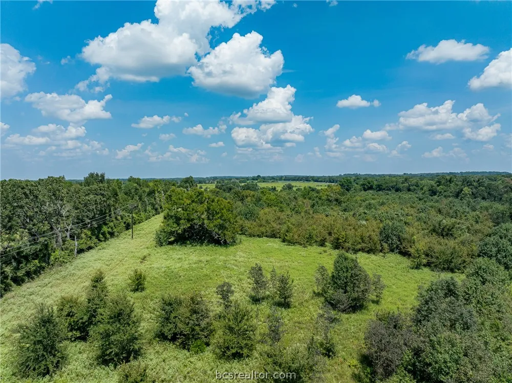 E US Hwy 79 Franklin, TX 77856