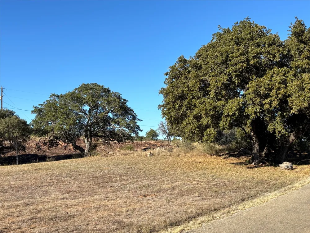 130 Primera Court Kingsland, TX 78609