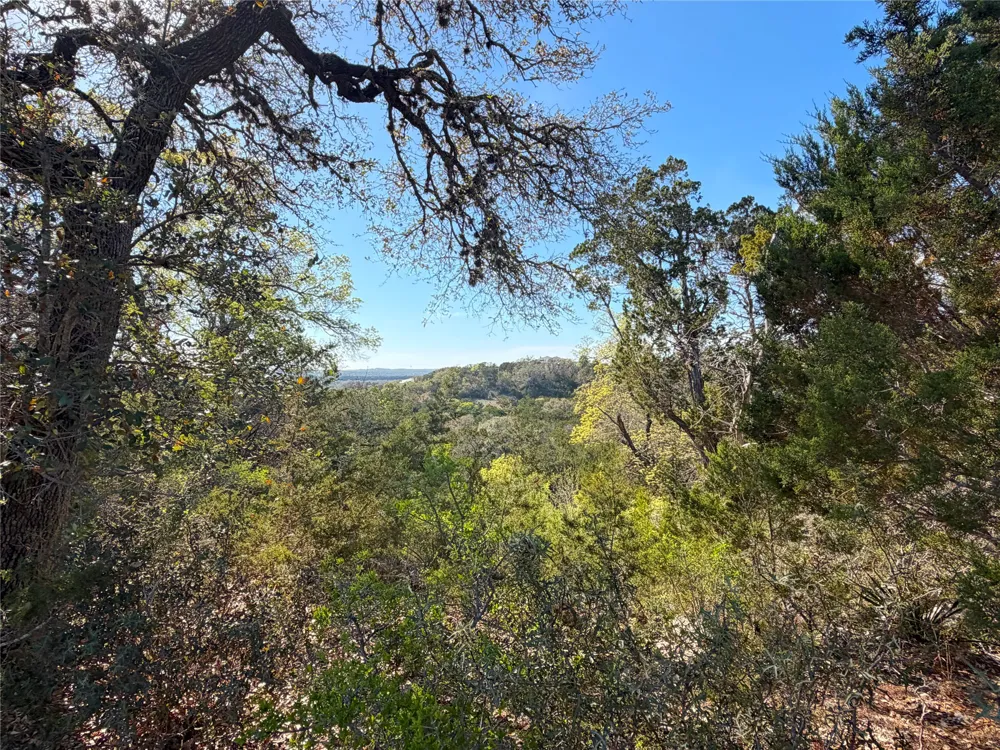 126 Riddle Road Spring Branch, TX 78070