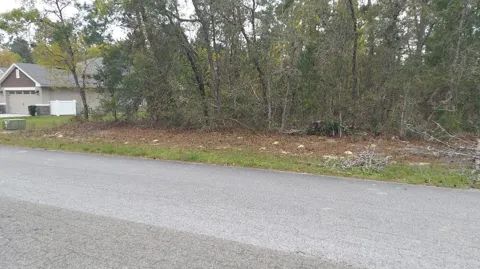 3 TALL MARIGOLDS CT,