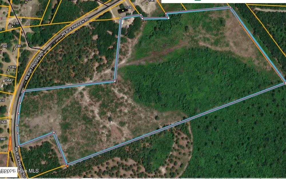 0 Wilbur Pridgen Road Harrells, NC 28444