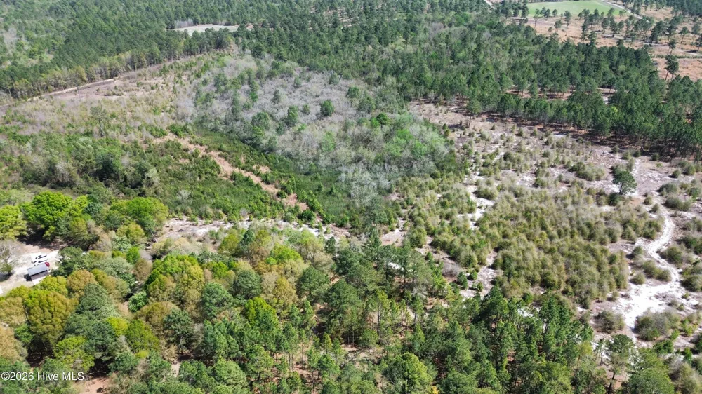 0 Wilbur Pridgen Road Harrells, NC 28444