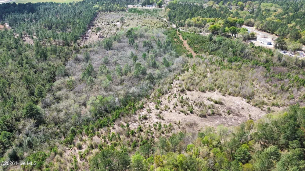 0 Wilbur Pridgen Road Harrells, NC 28444
