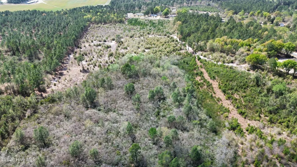 0 Wilbur Pridgen Road Harrells, NC 28444