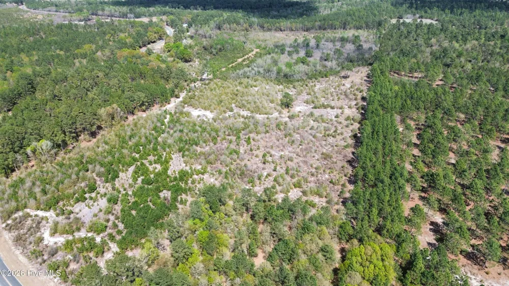 0 Wilbur Pridgen Road Harrells, NC 28444