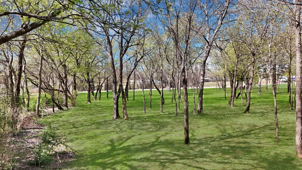 1471 W Broad Street Mansfield, TX 76063