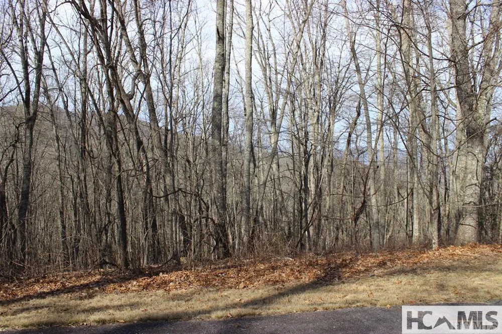 Lot 85 Waterdance Drive Tuckasegee, NC 28783