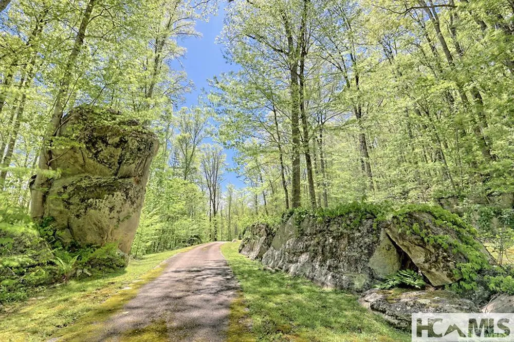 Lot 85 Waterdance Drive Tuckasegee, NC 28783