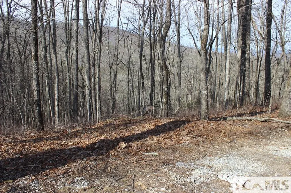 Lot 84 Waterdance Drive Tuckasegee, NC 28783