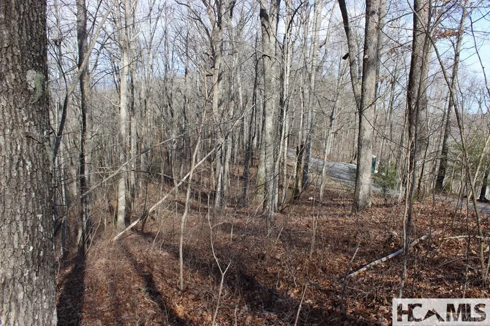 Lot 84 Waterdance Drive Tuckasegee, NC 28783