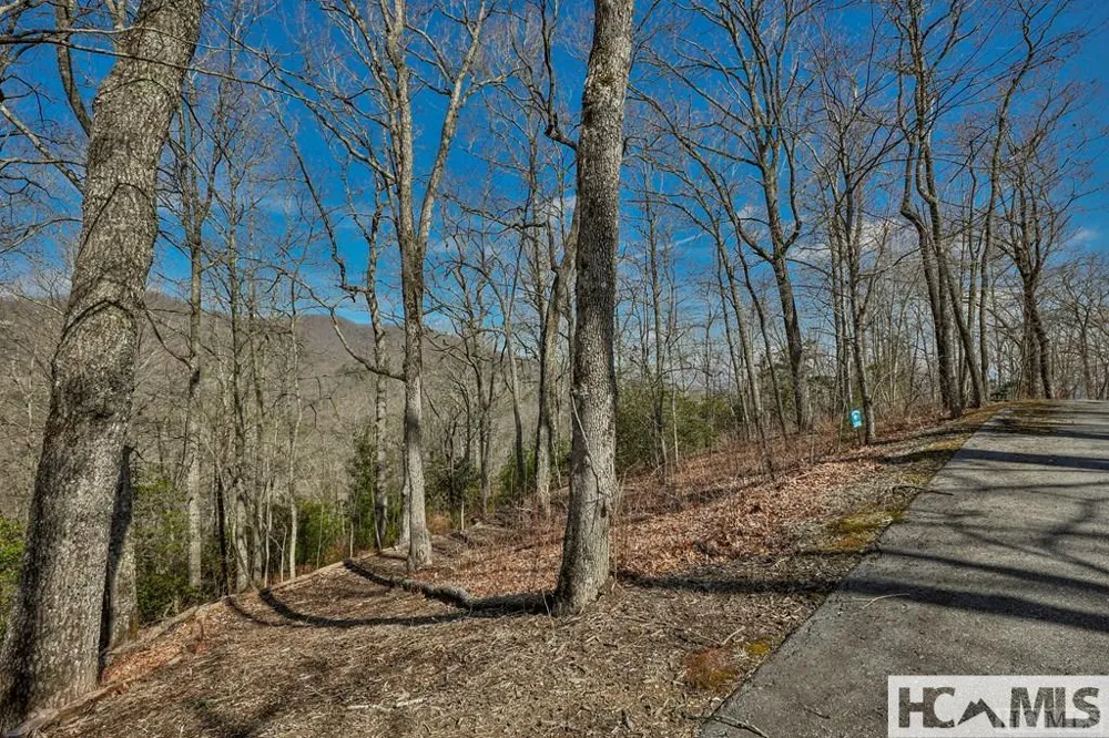 82&83 Waterdance Drive Tuckasegee, NC 28783