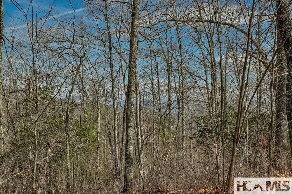 82&83 Waterdance Drive Tuckasegee, NC 28783