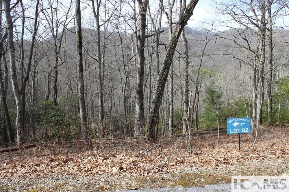 82&83 Waterdance Drive Tuckasegee, NC 28783
