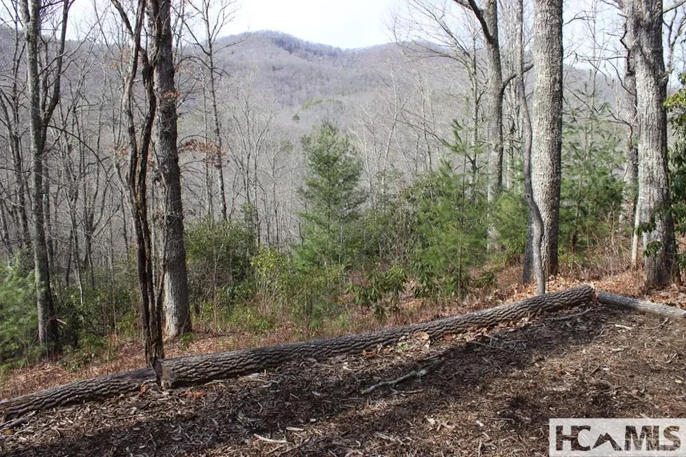 82&83 Waterdance Drive Tuckasegee, NC 28783