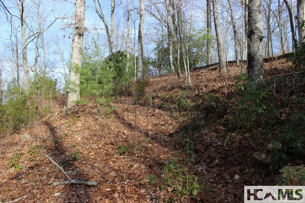 82&83 Waterdance Drive Tuckasegee, NC 28783