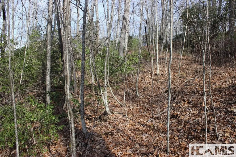 82&83 Waterdance Drive Tuckasegee, NC 28783