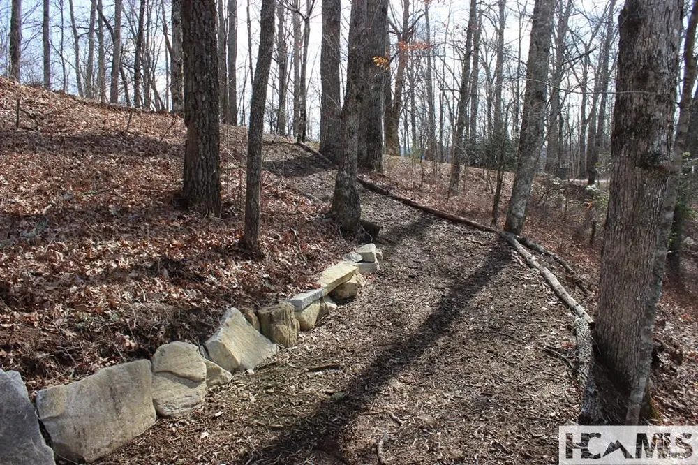 82&83 Waterdance Drive Tuckasegee, NC 28783