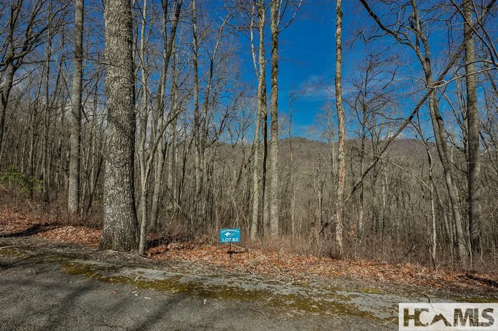 82&83 Waterdance Drive Tuckasegee, NC 28783