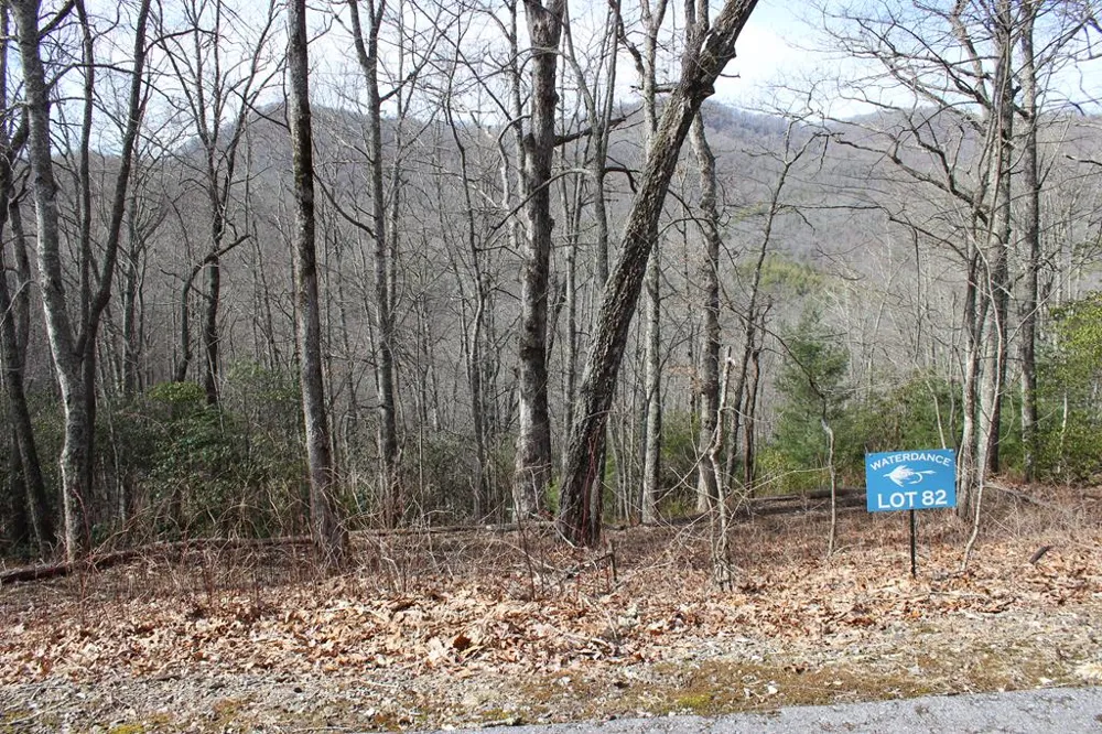Waterdance Drive Tuckasegee, NC 28783