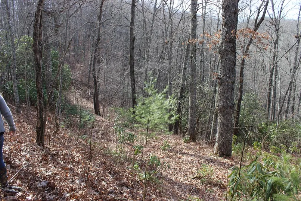 Waterdance Drive Tuckasegee, NC 28783