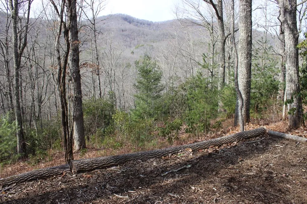 Waterdance Drive Tuckasegee, NC 28783