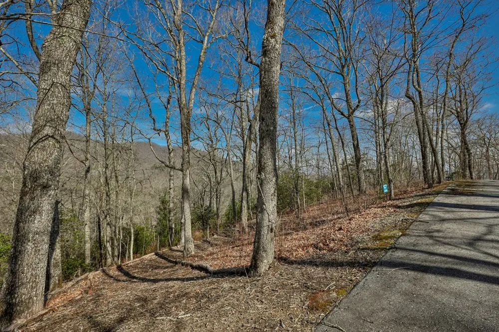 Waterdance Drive Tuckasegee, NC 28783