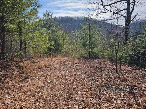 51 Kudzu Creek Trail