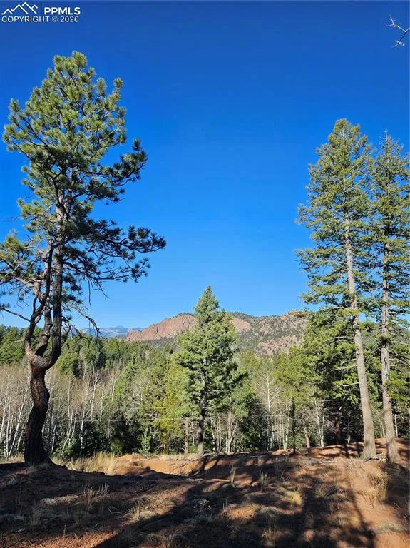 652 Derby Drive Cripple Creek, CO 80813