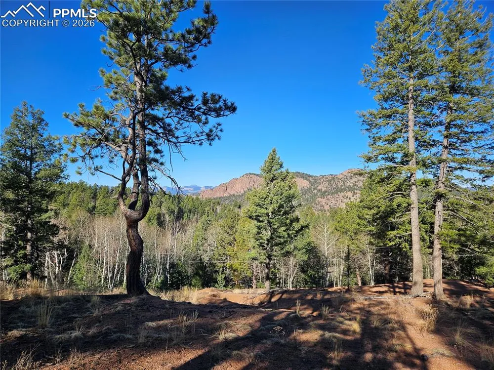 652 Derby Drive Cripple Creek, CO 80813
