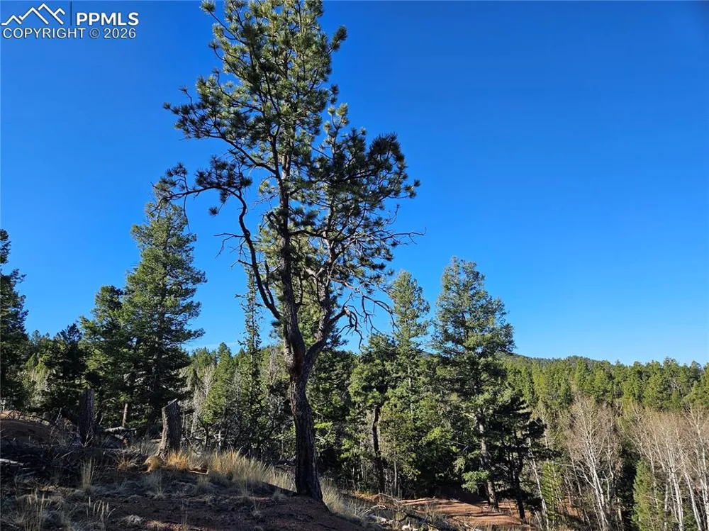 652 Derby Drive Cripple Creek, CO 80813