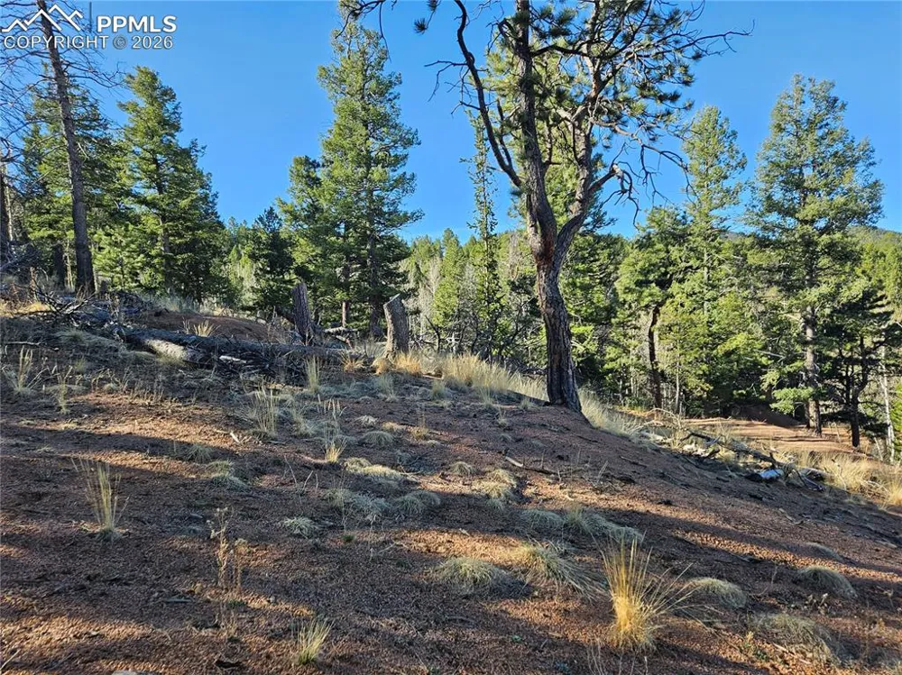 652 Derby Drive Cripple Creek, CO 80813