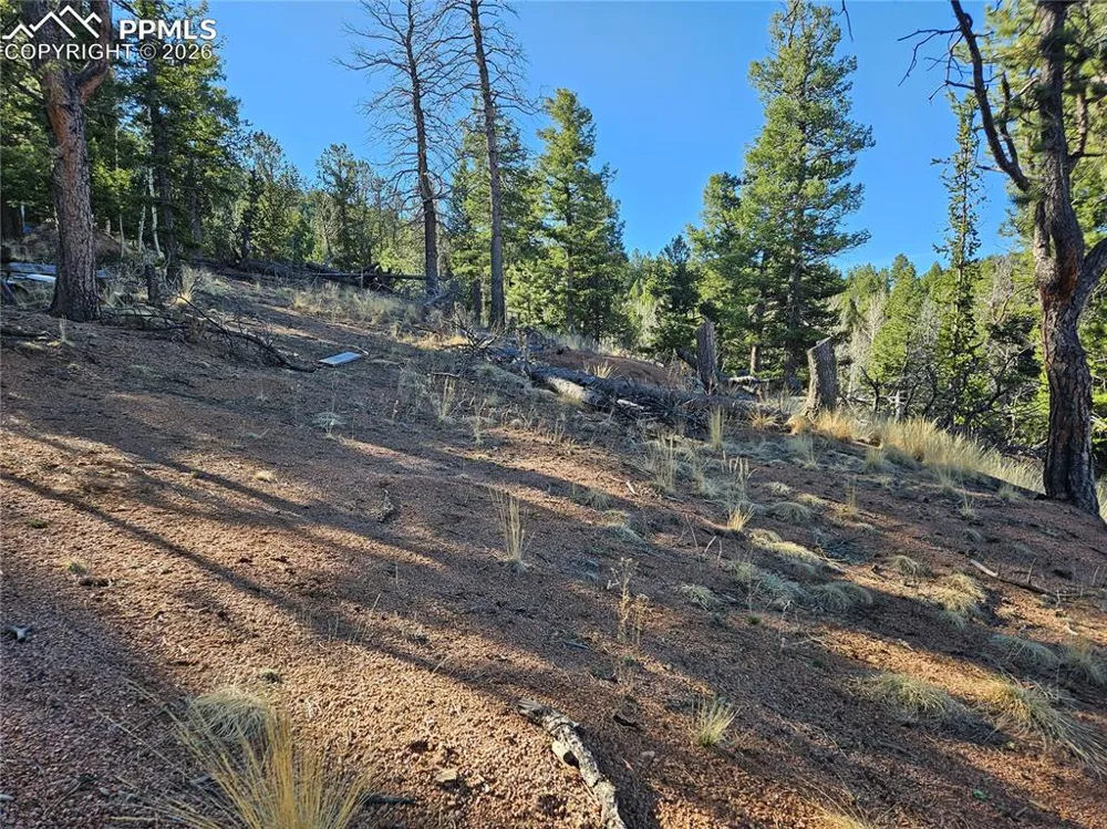 652 Derby Drive Cripple Creek, CO 80813