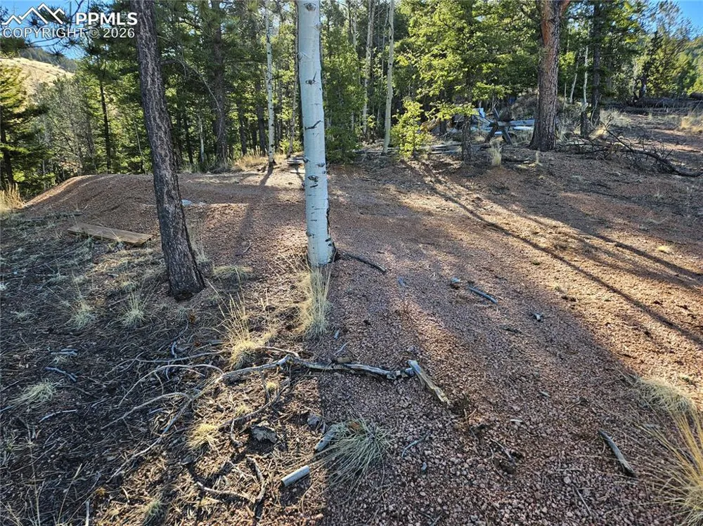 652 Derby Drive Cripple Creek, CO 80813