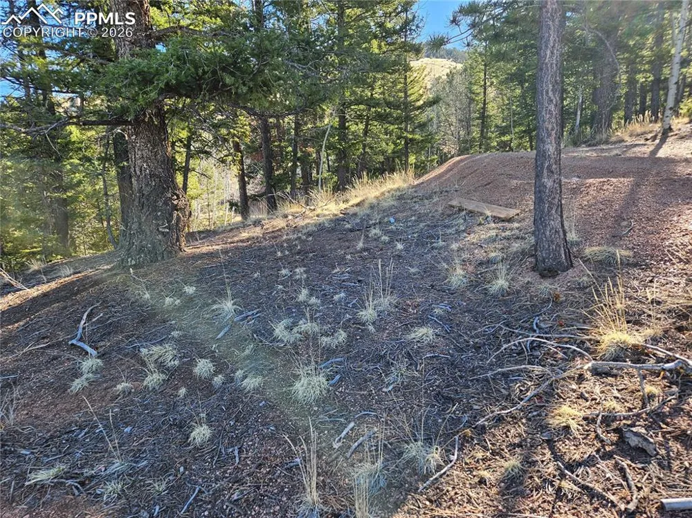 652 Derby Drive Cripple Creek, CO 80813