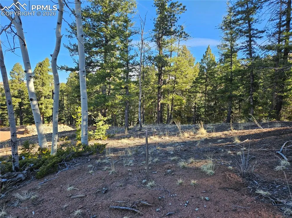 652 Derby Drive Cripple Creek, CO 80813