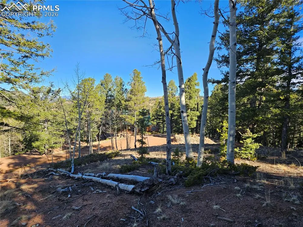 652 Derby Drive Cripple Creek, CO 80813