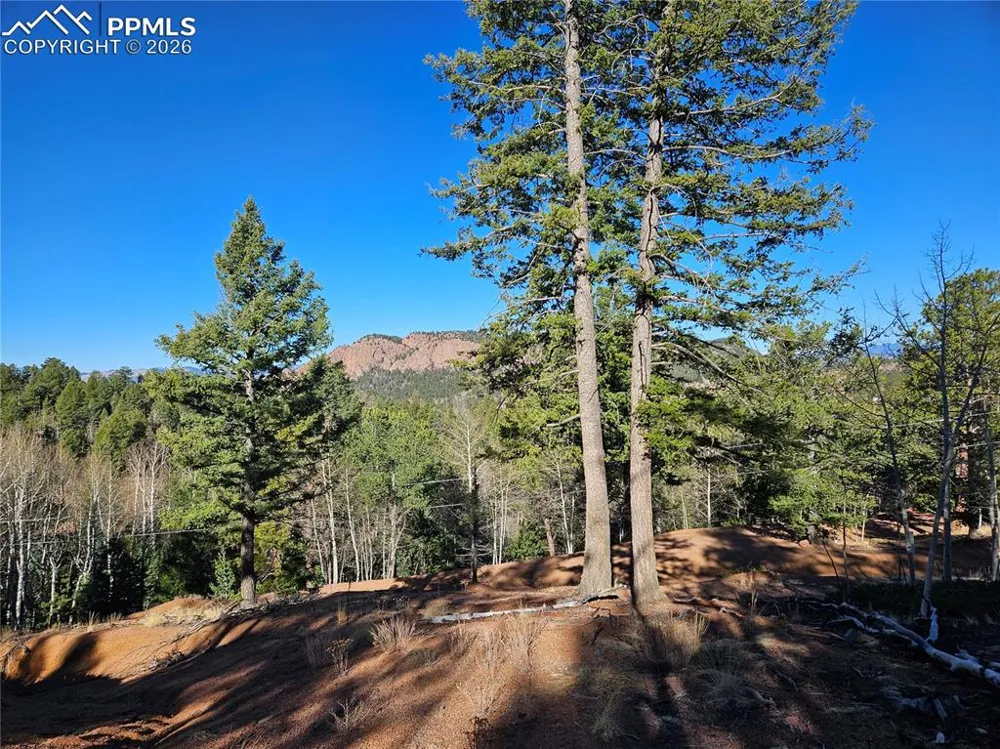 652 Derby Drive Cripple Creek, CO 80813