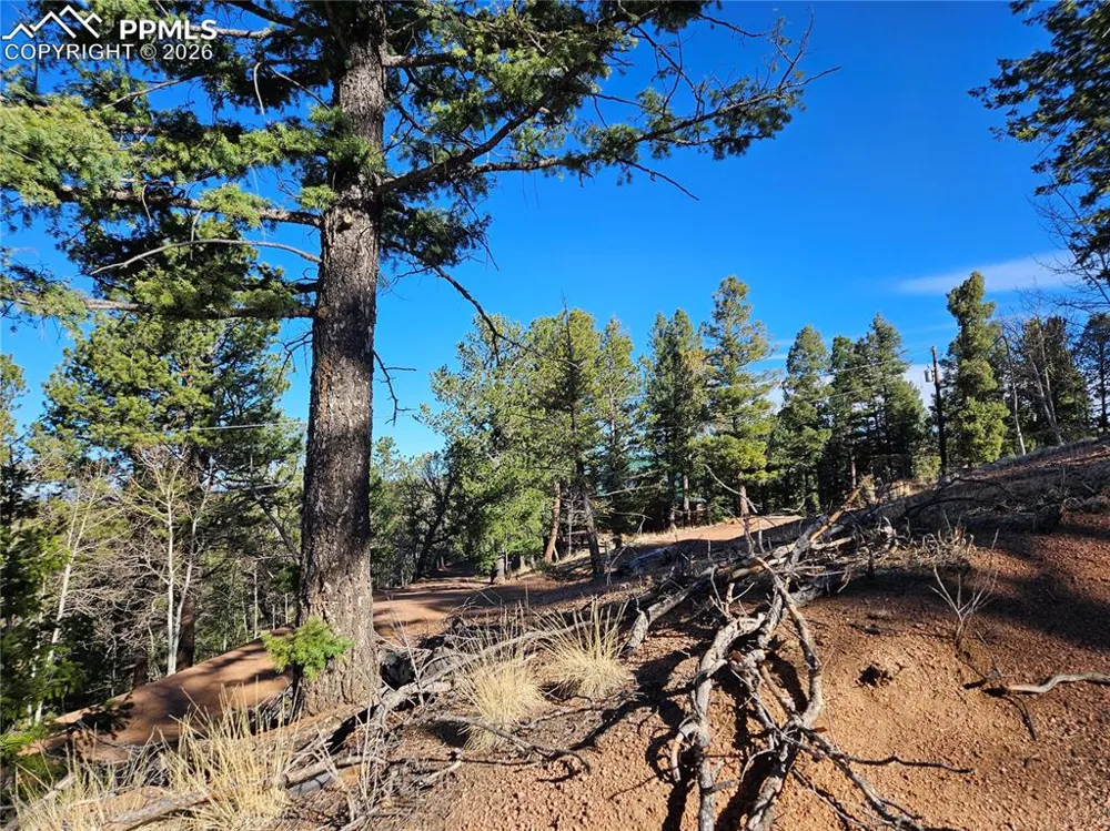 652 Derby Drive Cripple Creek, CO 80813