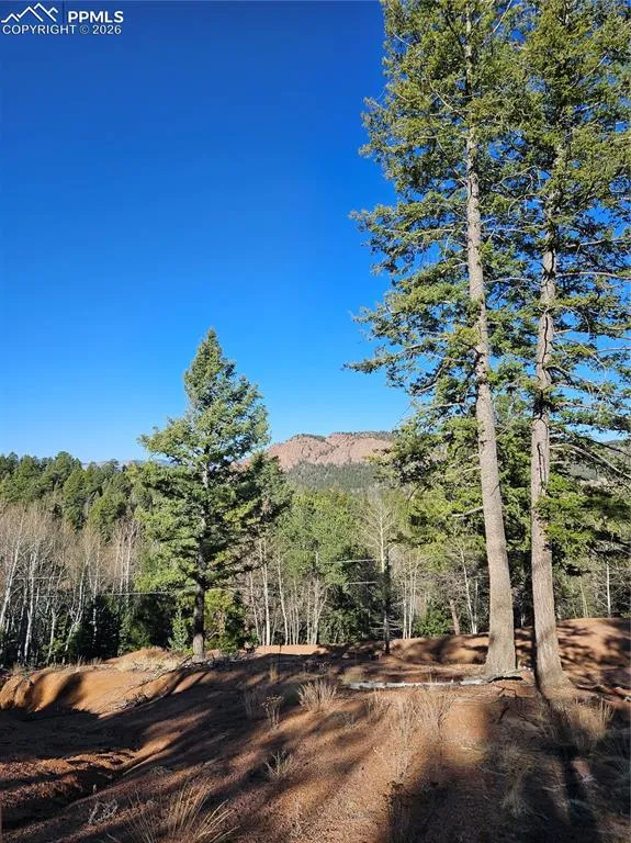 652 Derby Drive Cripple Creek, CO 80813