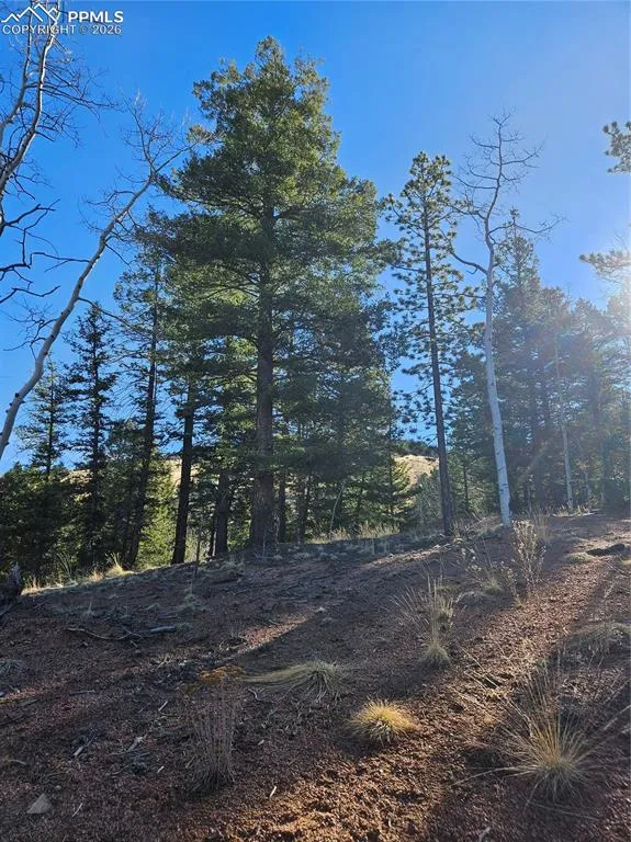 652 Derby Drive Cripple Creek, CO 80813