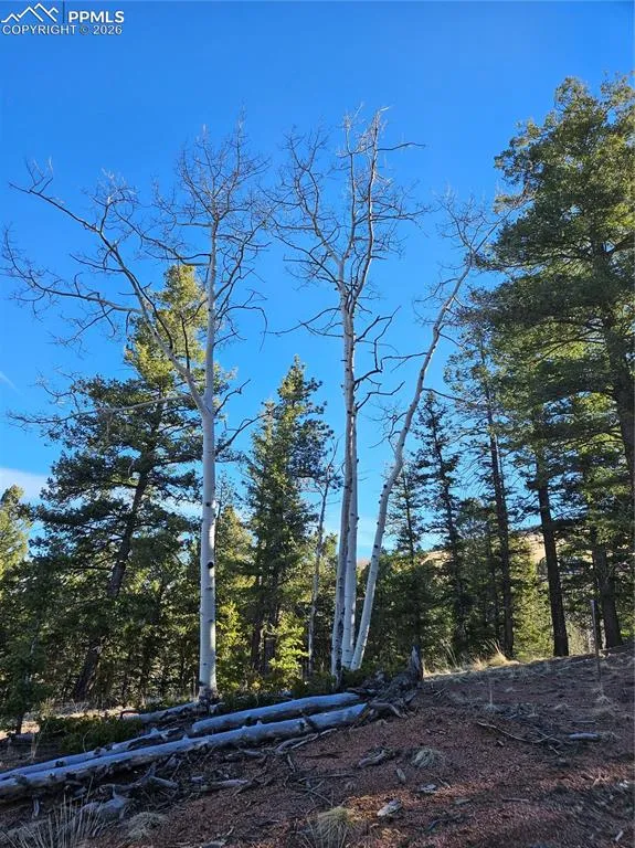 652 Derby Drive Cripple Creek, CO 80813