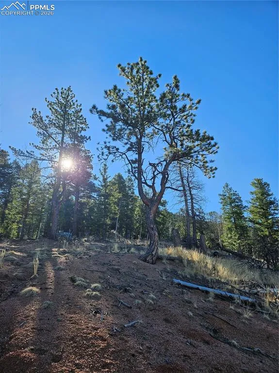 652 Derby Drive Cripple Creek, CO 80813