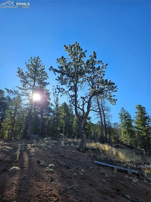 652 Derby Drive Cripple Creek, CO 80813