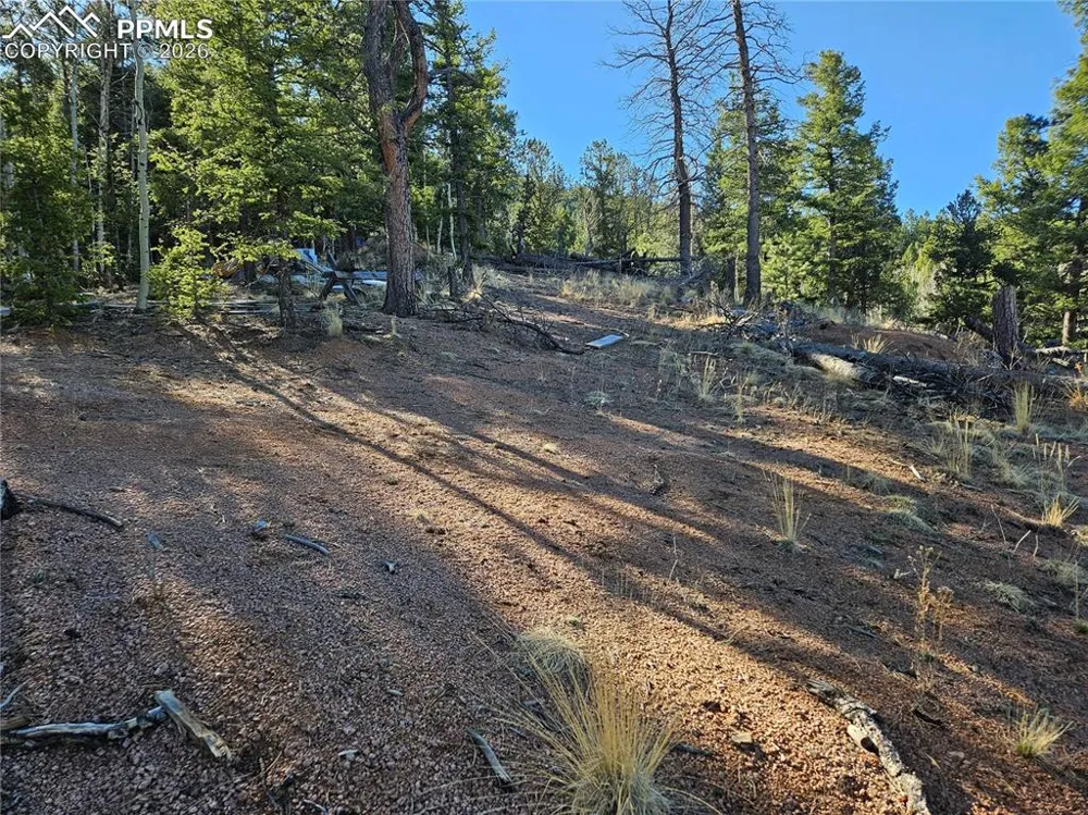 652 Derby Drive Cripple Creek, CO 80813
